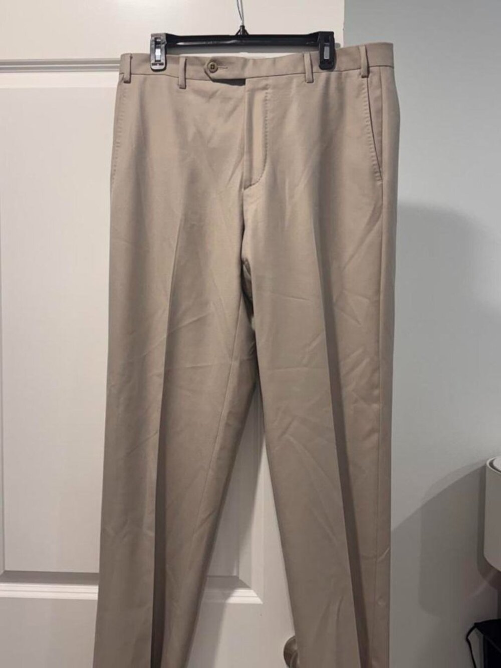 Zanella Todd Relaxed Fit Flat Front Solid Wool Dress Pants